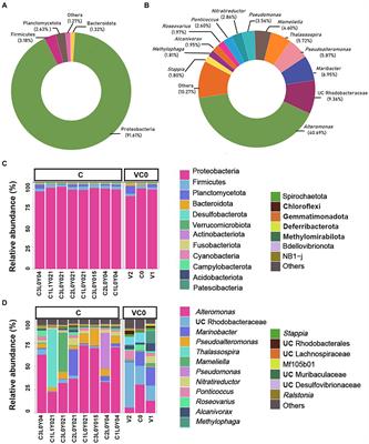 The resting cyst of dinoflagellate Scrippsiella acuminata host bacterial microbiomes with more diverse trophic strategies under conditions typically observed in marine sediments